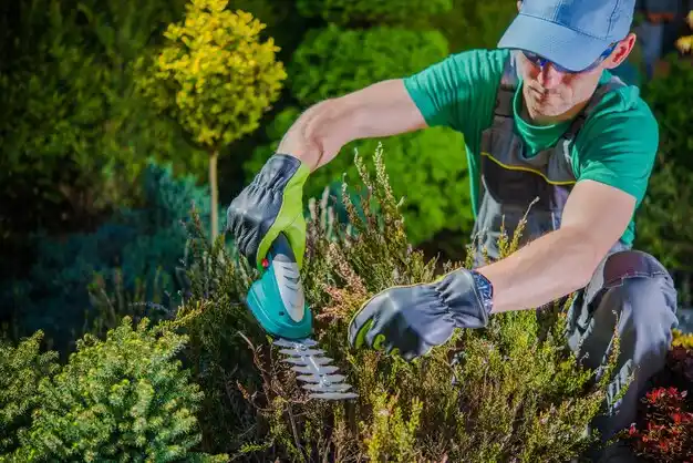 landscaping services DeQuincy